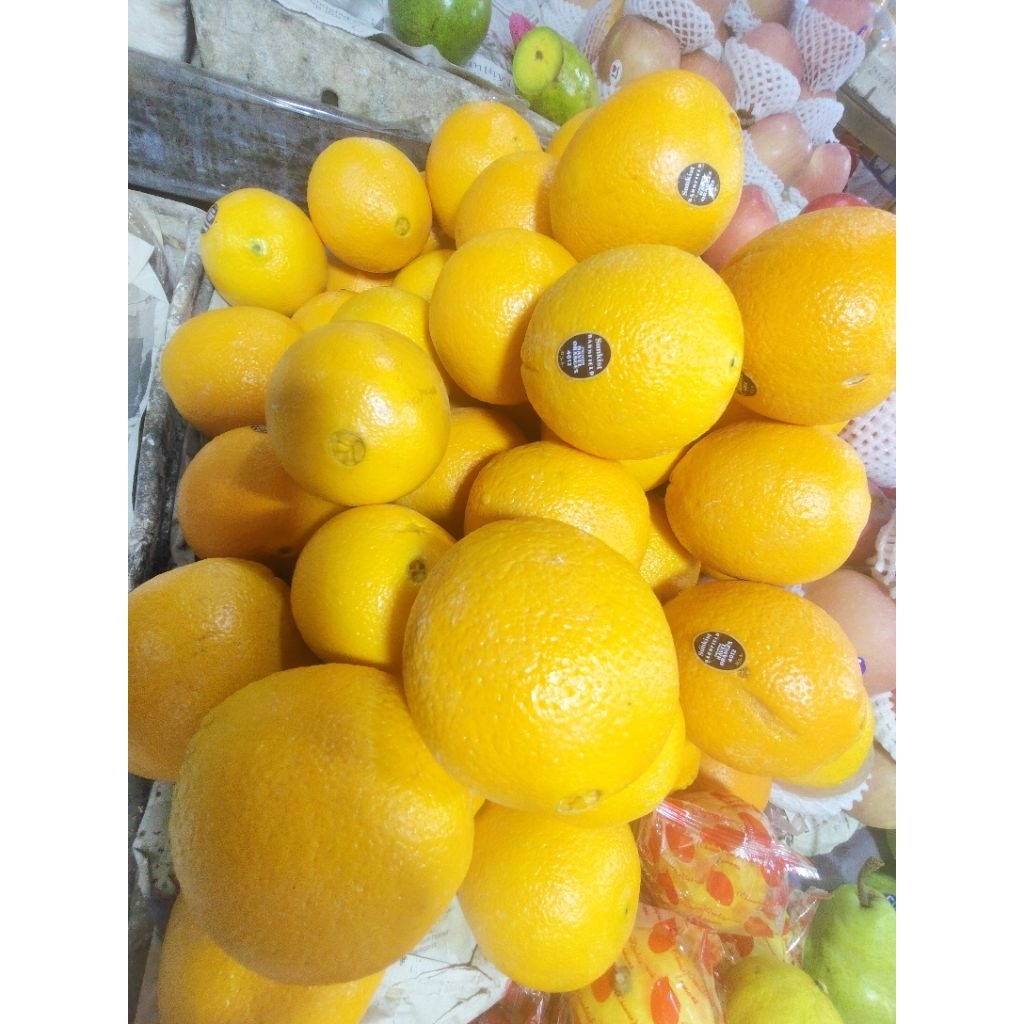 Jeruk Sunkist Premium | Segar, Manis & Kaya Vitamin C 1Kg