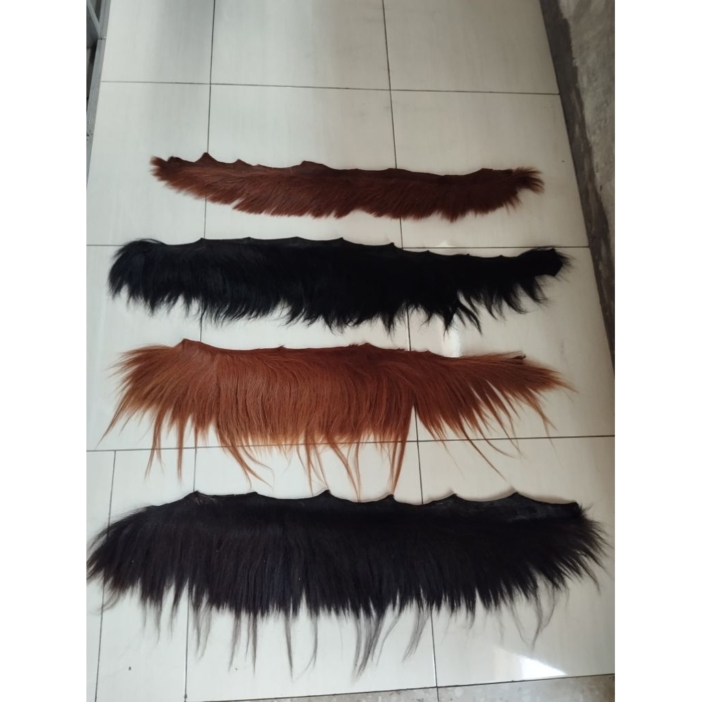 Suri kuda yang warna coklat