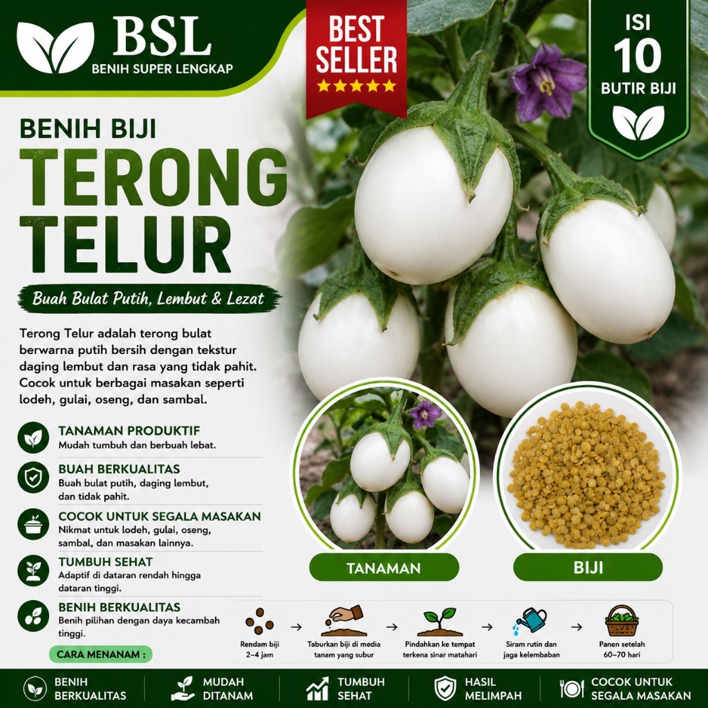 ( 10 Butir ) Benih Biji Terong Telur | Terong Putih | Terong Putih Bulat | UKI BIBIT