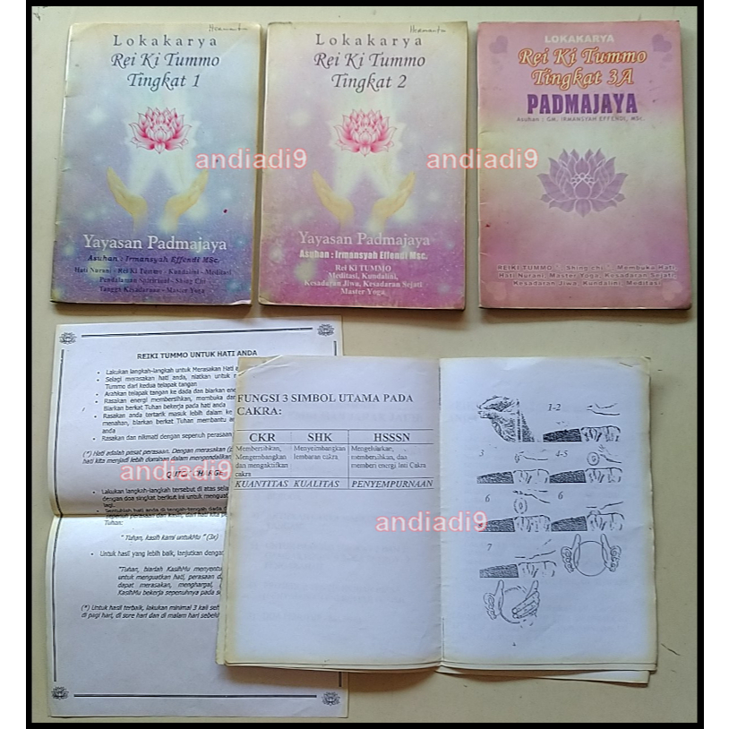 BUKU LOKAKARYA REIKI TUMMO TINGKAT 1 - 2 - 3A  PADMAJAYA IRMANSYAH EFFENDI, Msc. ADA CORETAN BERCAK 