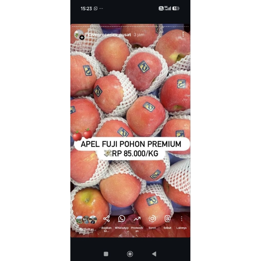 Apel Fuji Pohon JUAL PERKG