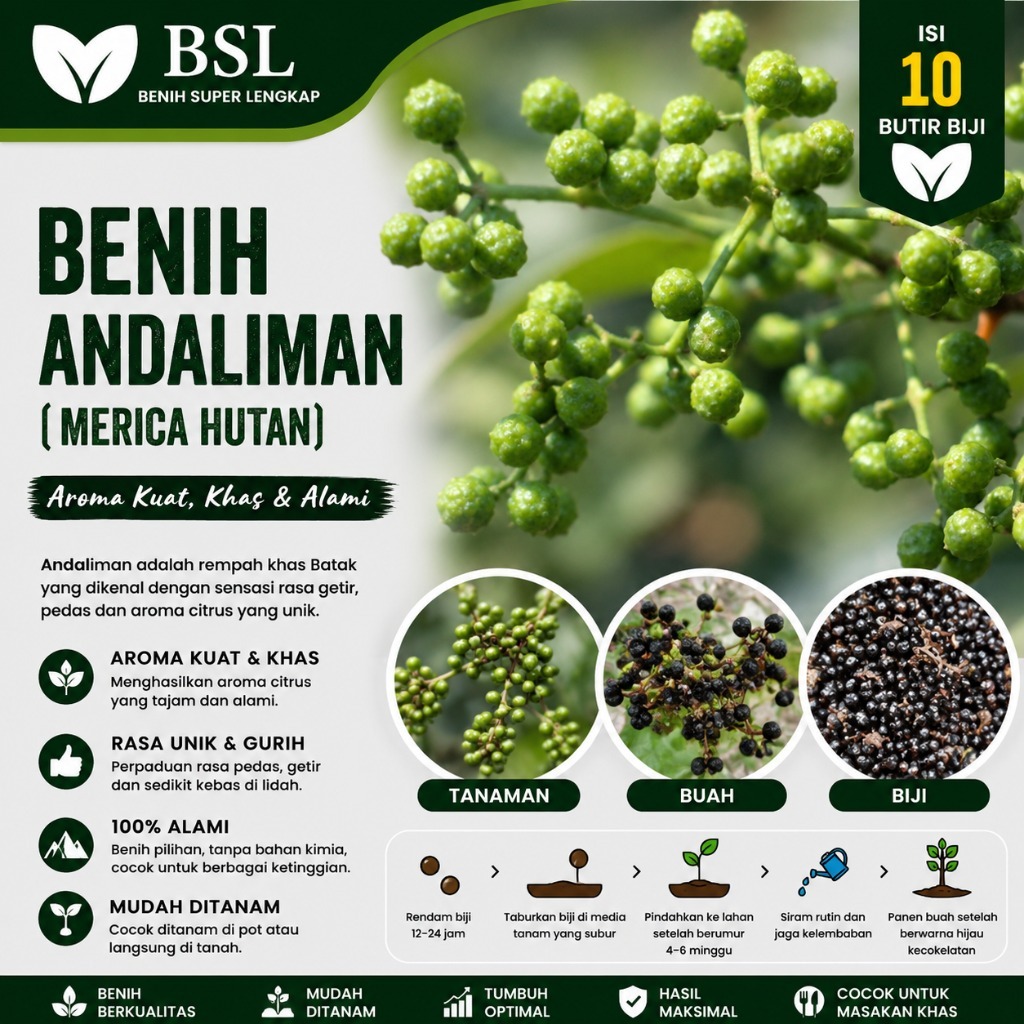 ( 10 Butir ) Benih Biji Andaliman | Lada Batak | Zanthoxylum Acanthopodium | UKI BIBIT