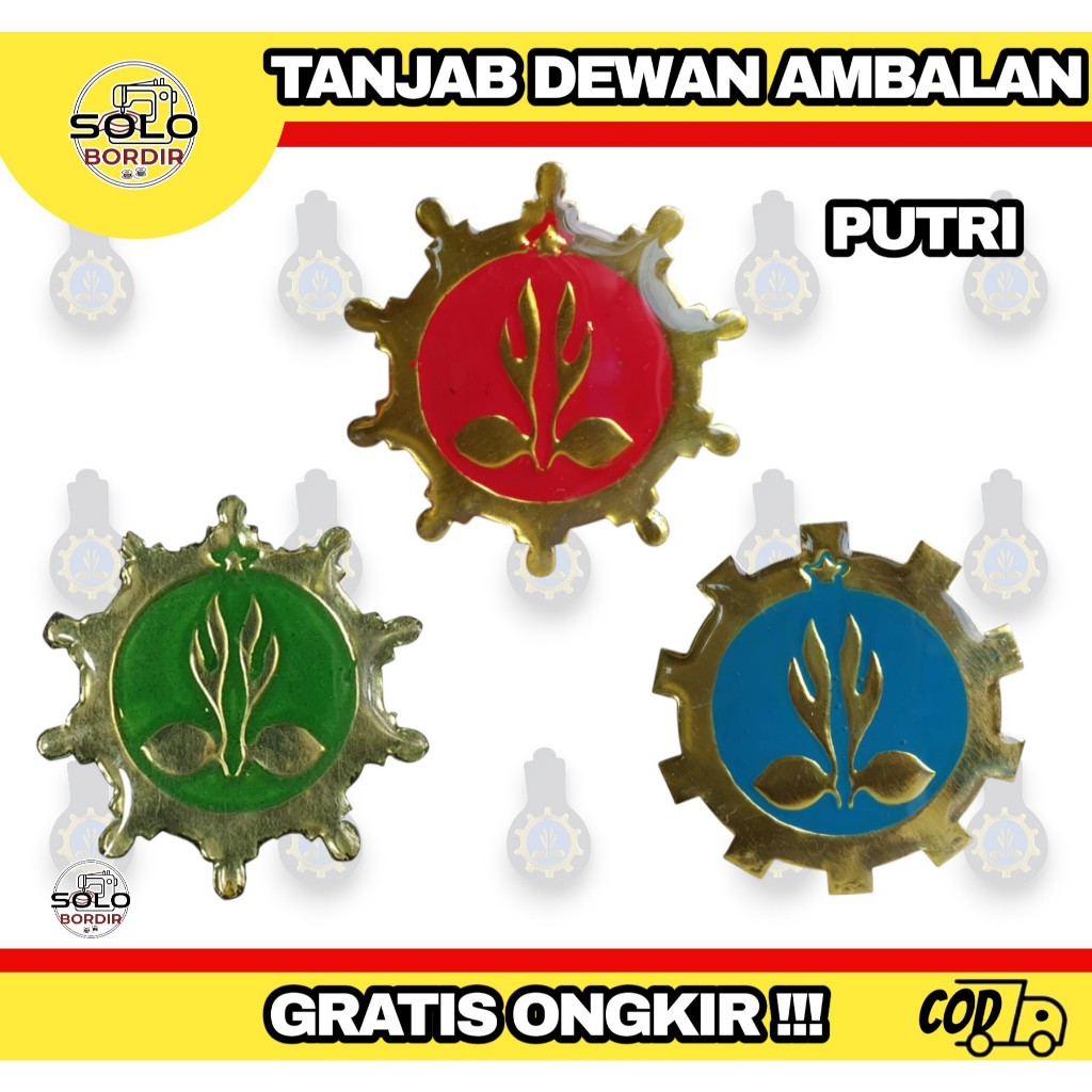 Tanjab Pramuka putri / Tanjab dewan ambalan putri