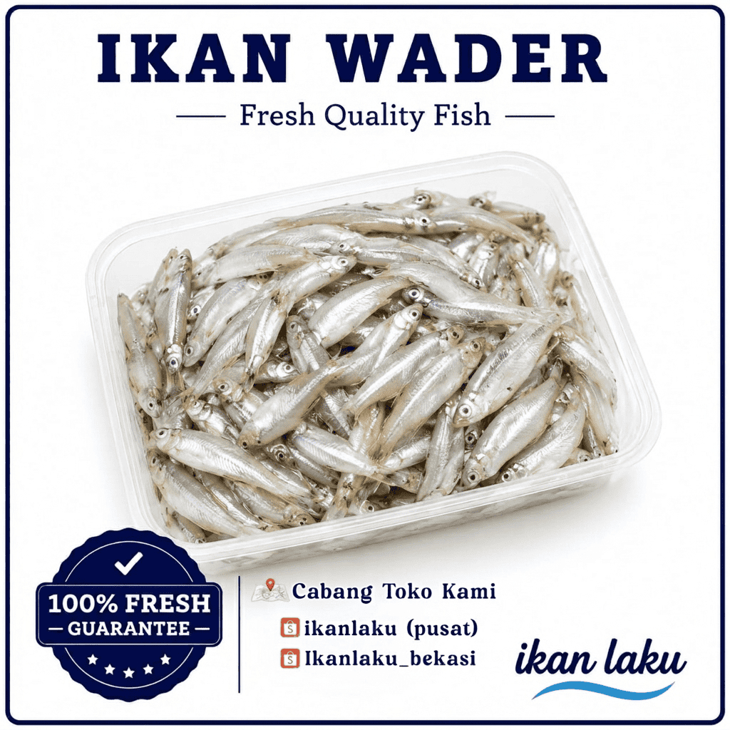 Ikan Laku – Ikan Wader Segar 1kg – Fresh Frozen Baby Fish Premium