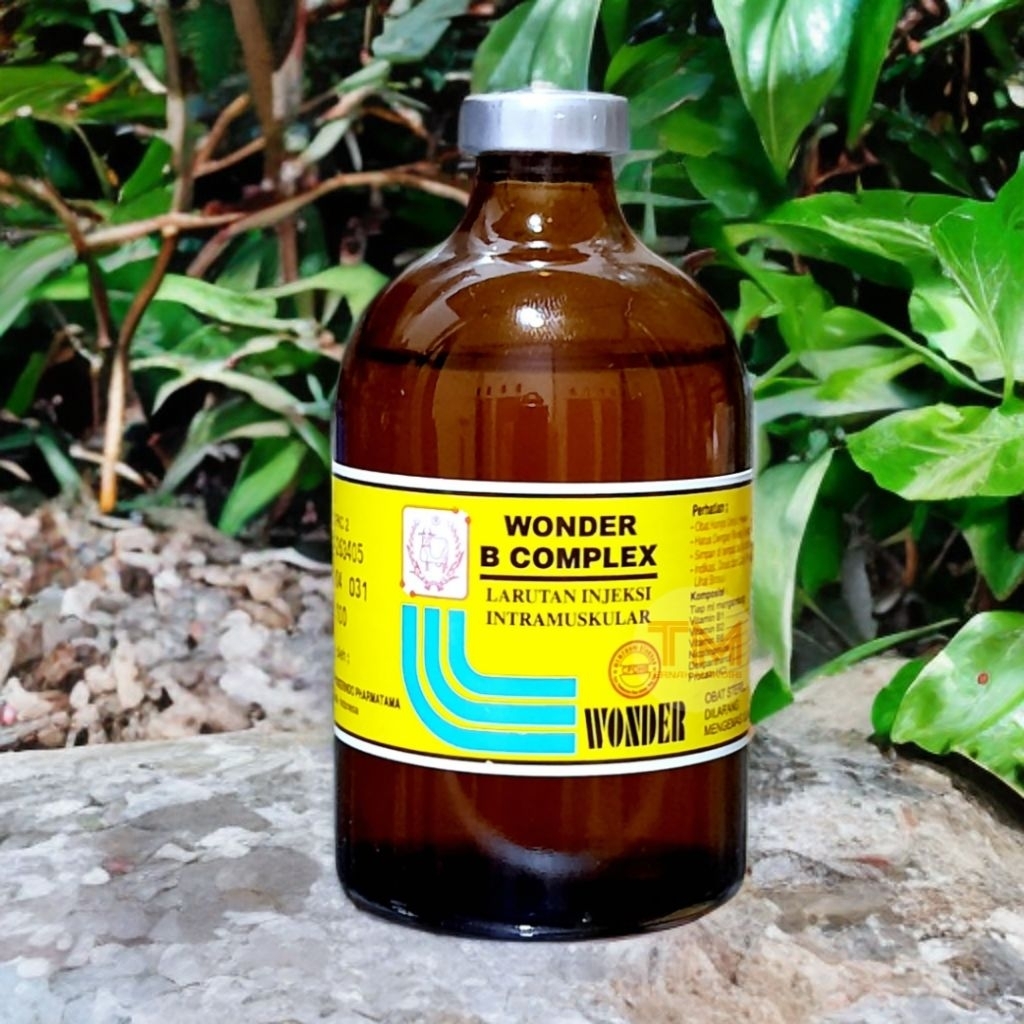 WONDER B COMPLEX 100 ML Suplemen Vitamin Hewan