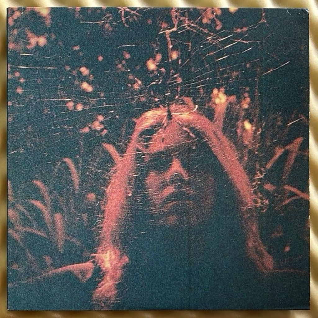 Piringan Hitam Vinyl Turnover Peripheral Vision (Orange Neon Vinyl)