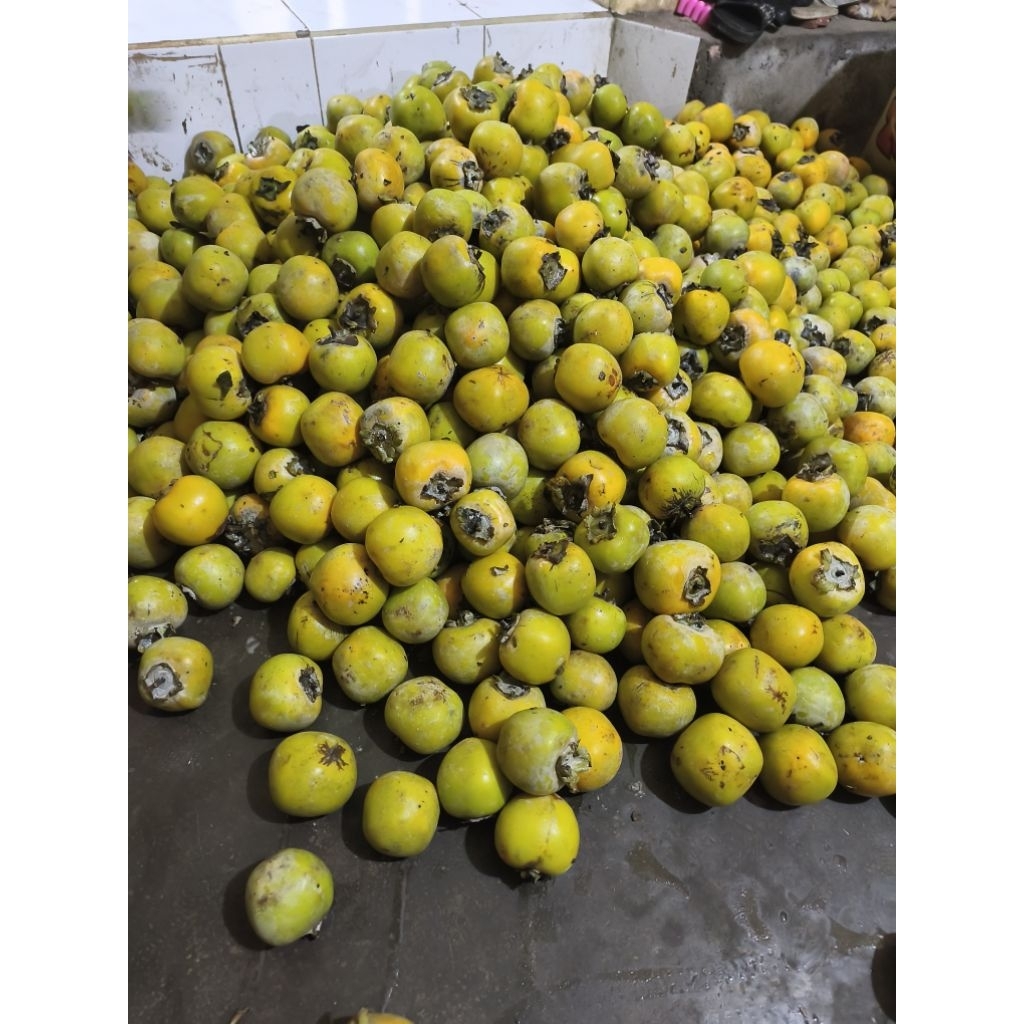 Kesemek Segar Manis Alami Buah Persimmon 1 Kilogram