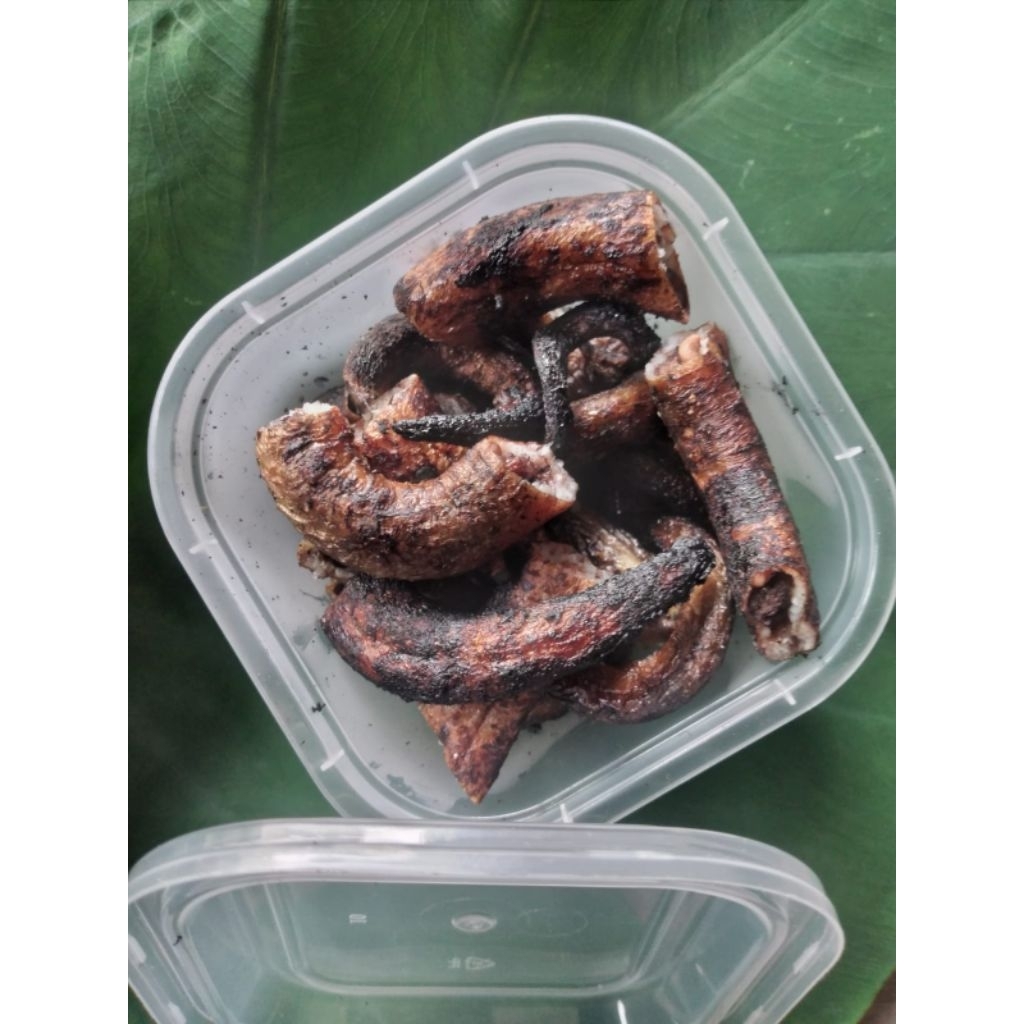 belut bakar umpan mancing ikan lele per pcs