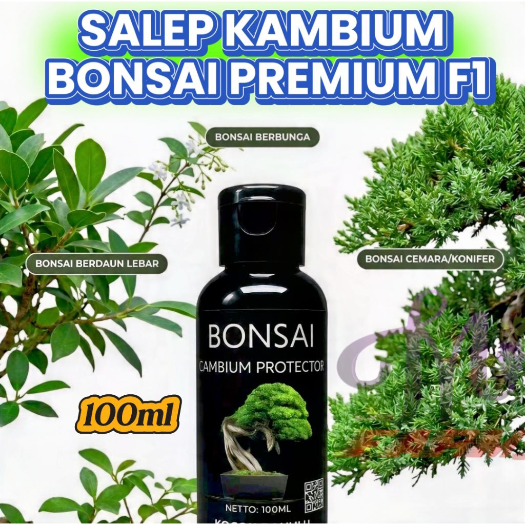 SALEP KAMBIUM BONSAI PREMIUM F1 KEMASAN BOTOL 100ML
