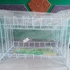 Rak Piring Susun 2  Tirisan Piring Basah Tempat Piring Dapur