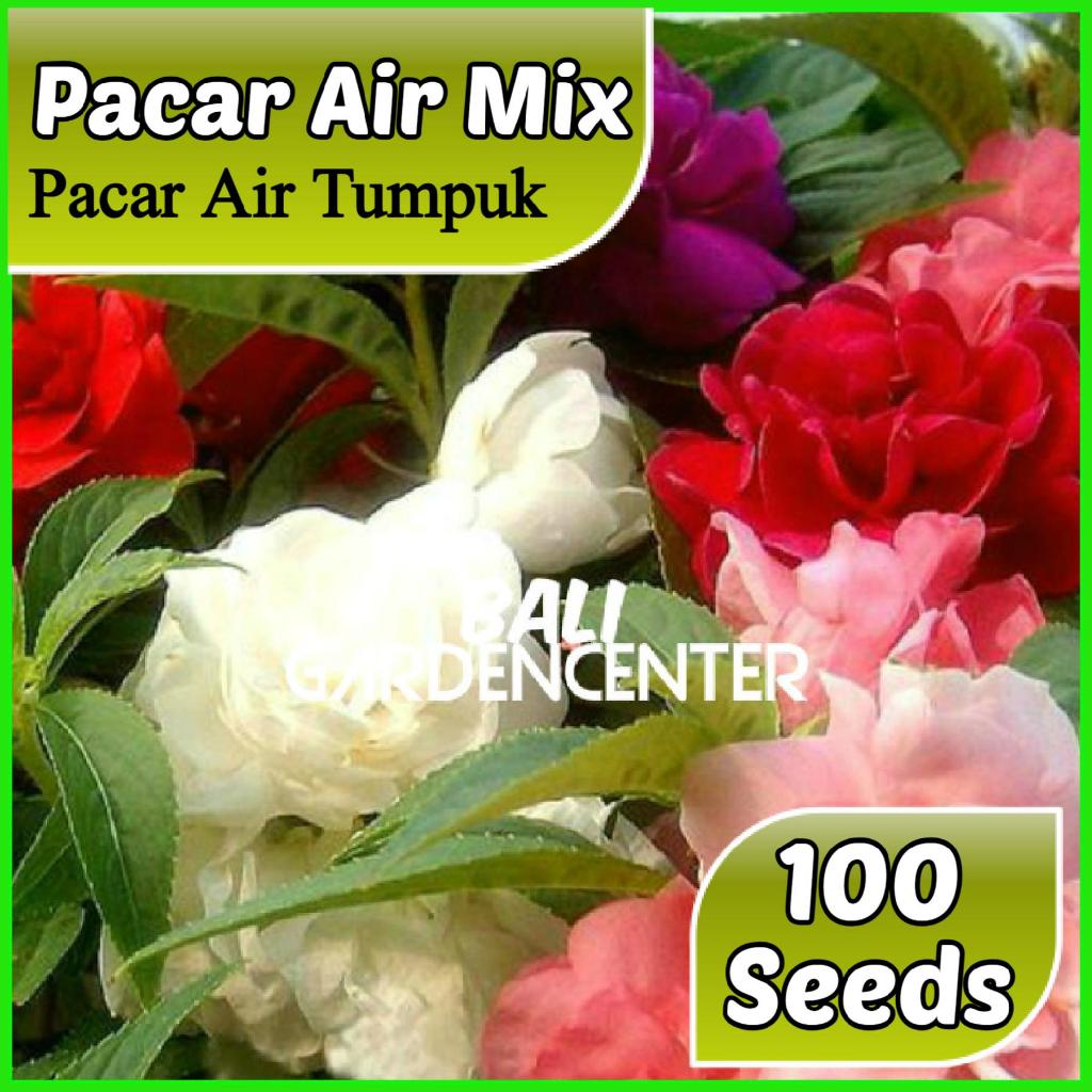 Isi 100 Benih Biji 4 Jenis Bunga Pacar Air  - Pacar Air Mix