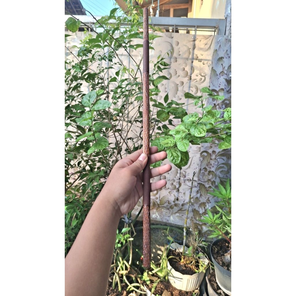 Tangkringan Hipnoterapi murai sepasang(2pcs)
