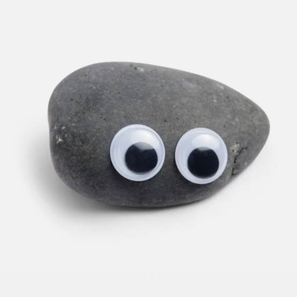 Mainan Batu Peliharaan | Pet Rock