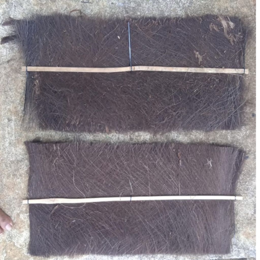 Ijuk kakaban 100x50cm  untuk tempat menetas telur ikan, tempat telur ikan lele,gurame dll