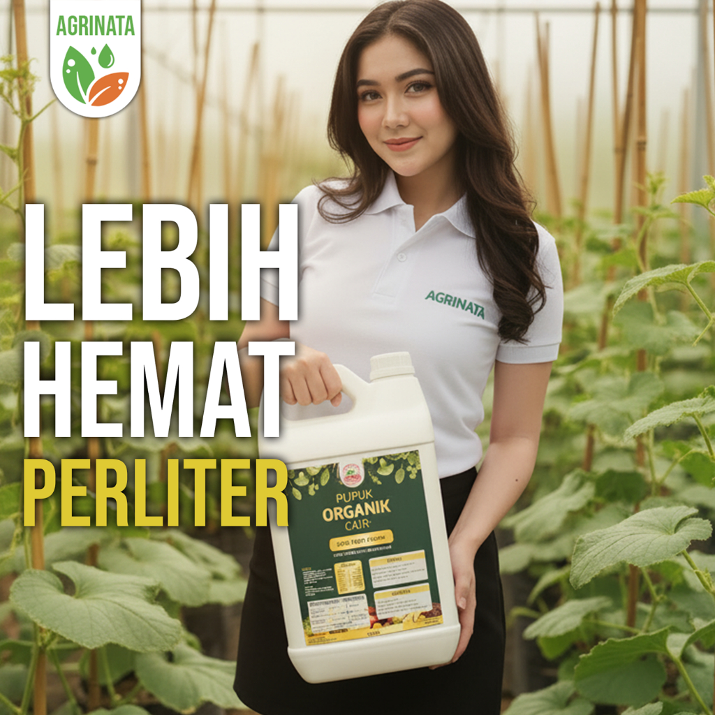 Pupuk Organik Cair Cap Buah Ndaru | Penguat Pupuk Kimia PGPR Hara Lengkap untuk Cabai Sayur dan Buah