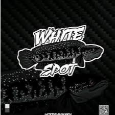 Stiker Channa Asiatica Ws