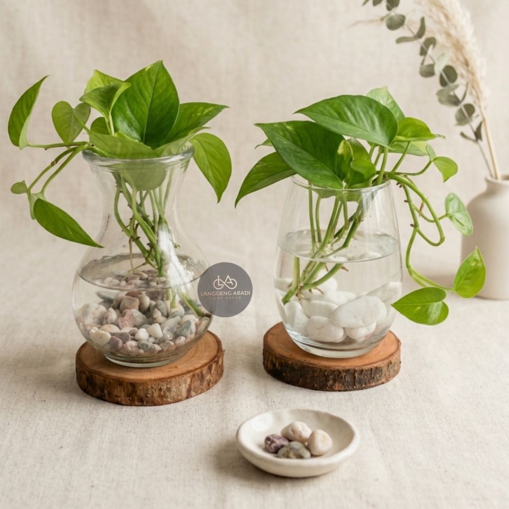 Vas Kaca Bulat | Vas Kaca Estetik | Vas scandinavian | Vas nordic | Vas rustic | Vas folk | Vas aest