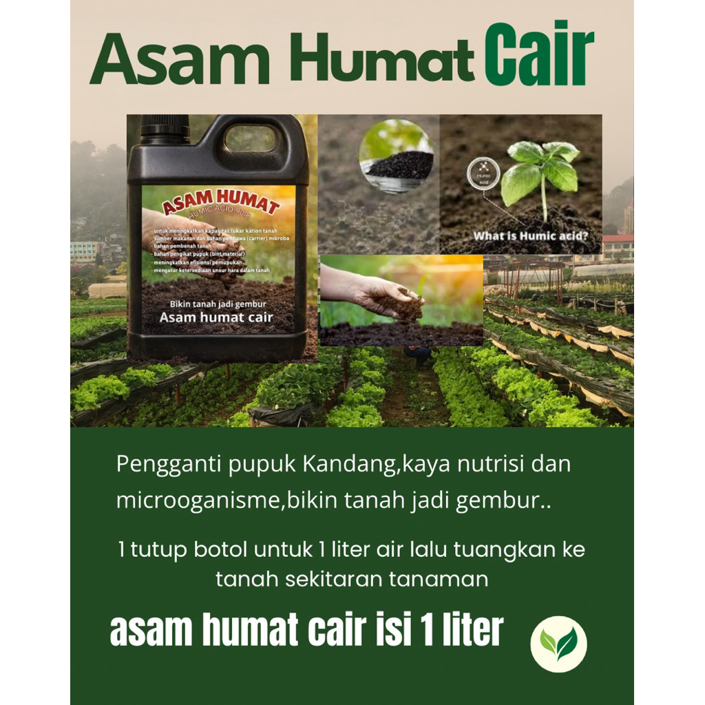 asam humat cair 1 liter pembenah tanah