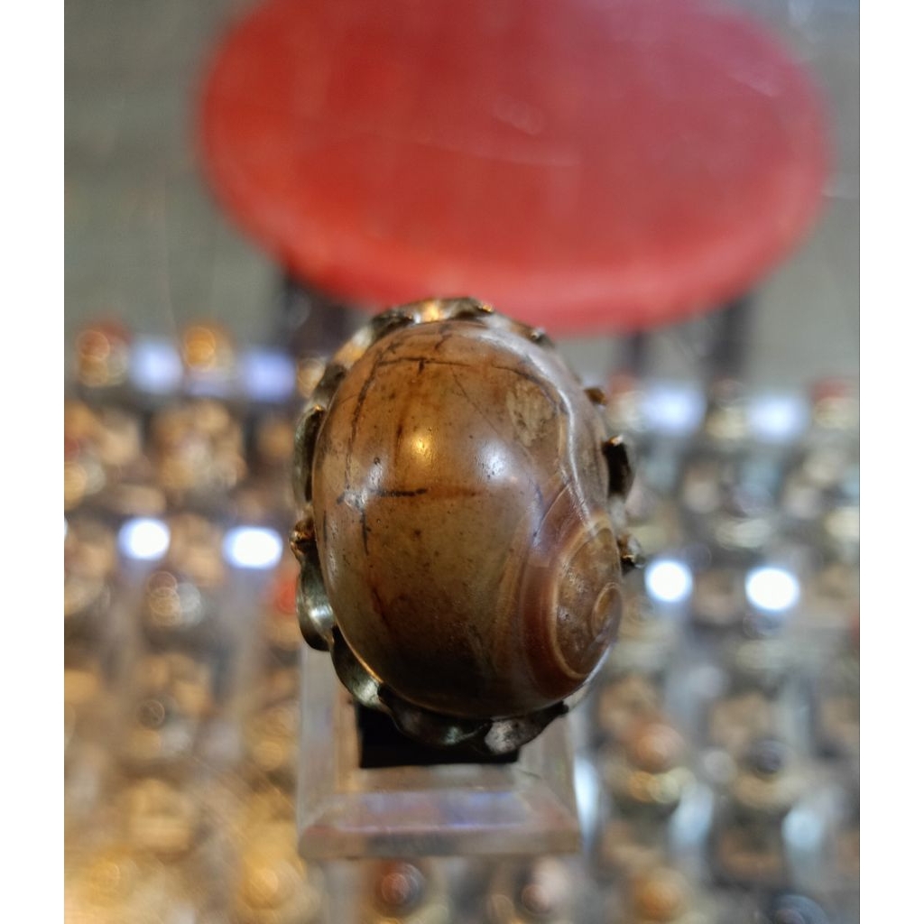 Cincin Fosil keong/kool buntet(Natural)