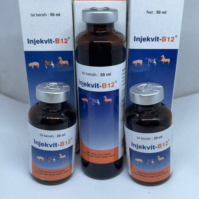 INJEKVIT B12 VITAMIN B12 50 ML VITAMIN SAPI VITAMIN KAMBING VITAMIN BABI VITAMIN KUDA INJEKSI VITAMI