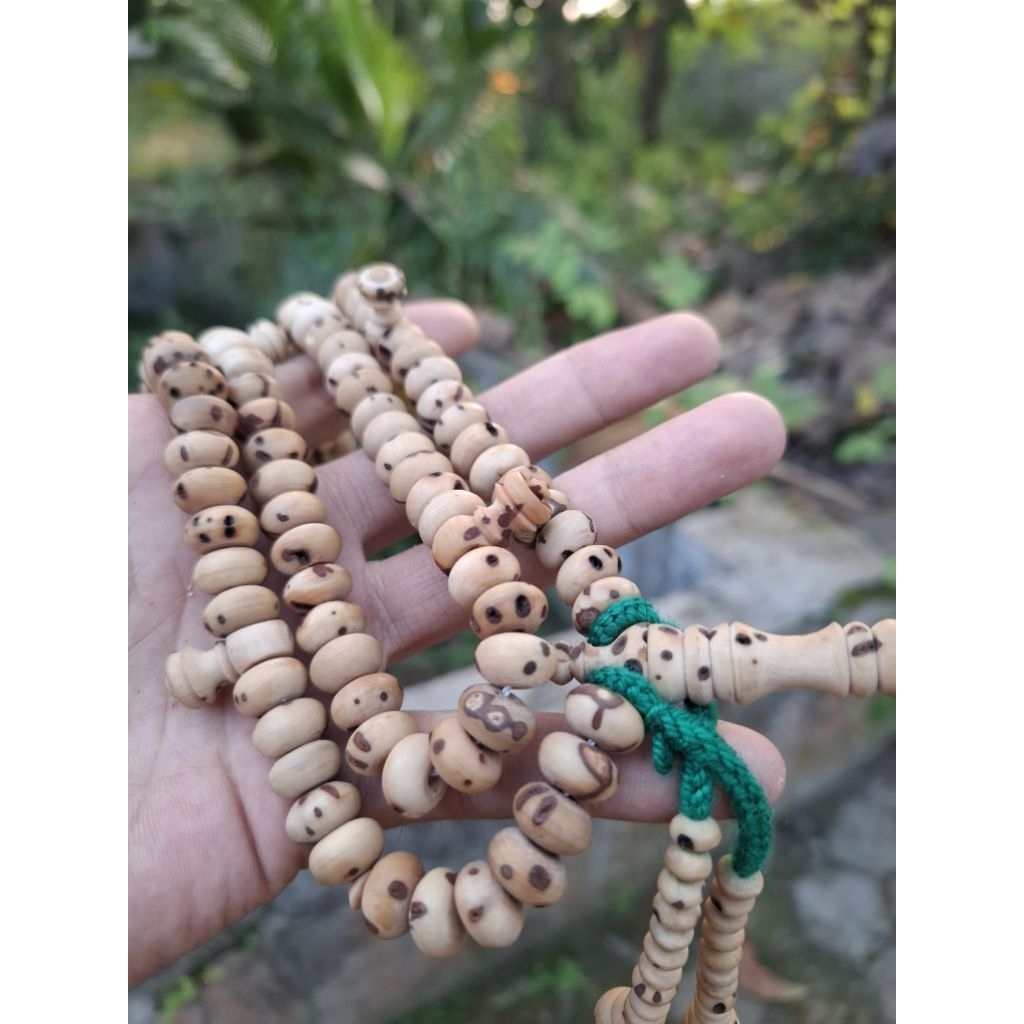 Tasbih Oud Sholib Original Maroko