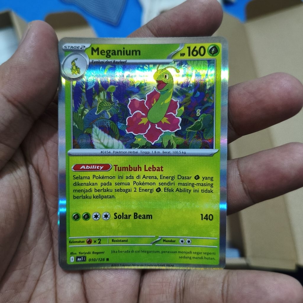 meganium tcg pokemon / kartu pokemon