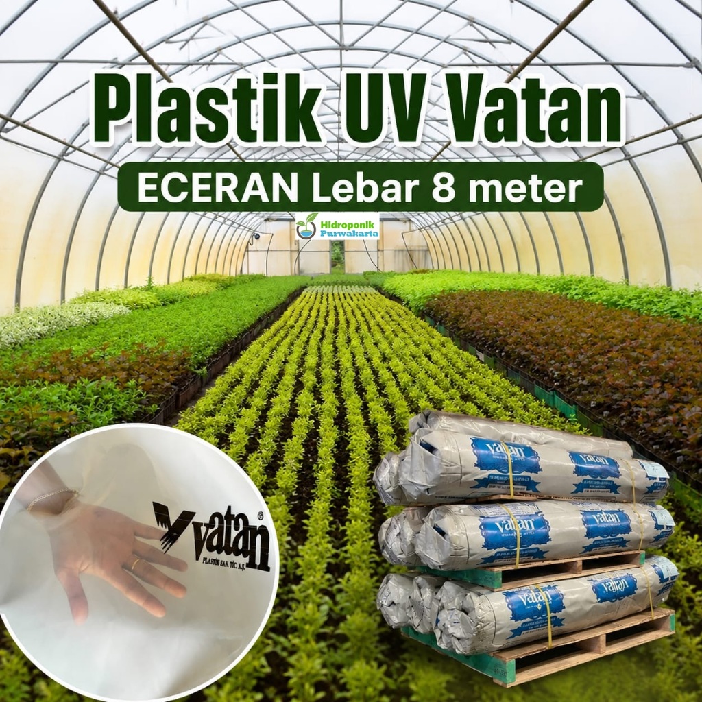 Plastik UV Vatan LEBAR 8 meter, Plastik UV Vatan ECERAN