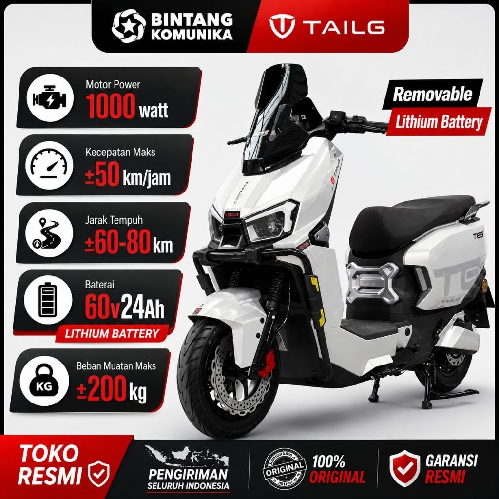 Sepeda Listrik TAILG GF80L PRO 1000Watt, Rem Cakram, LANGSUNG KIRIM, Garansi Resmi Nasional