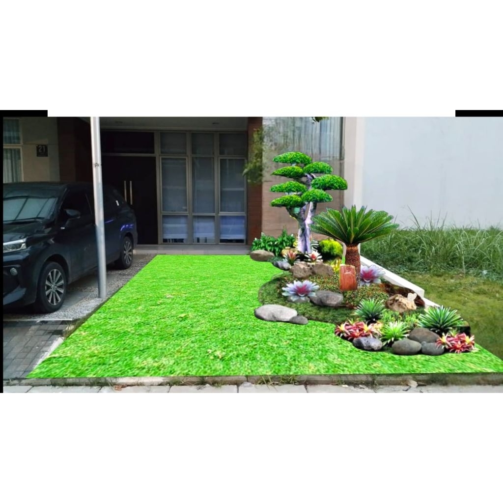 taman rumput gaja mini dan rumput jepang