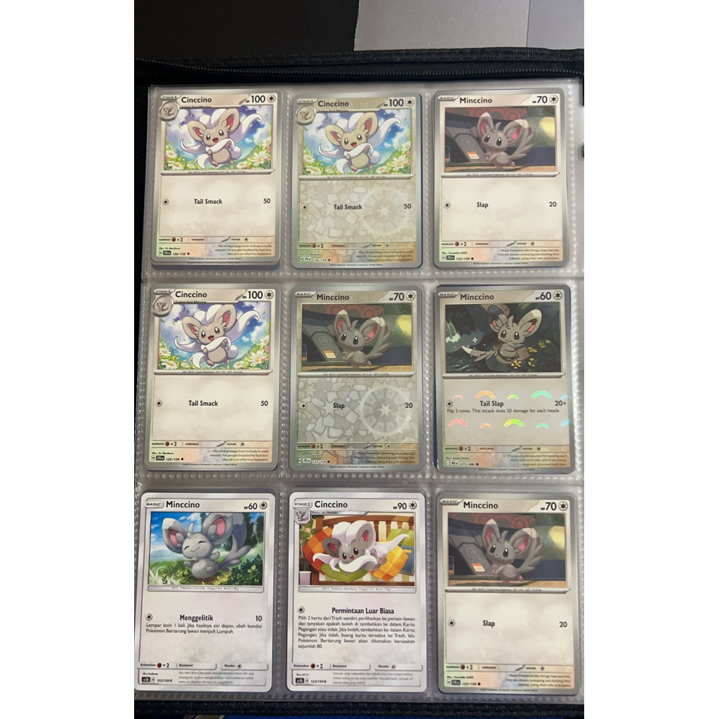 cinccino, minccino, japan, english , indonesia tcg pokemon