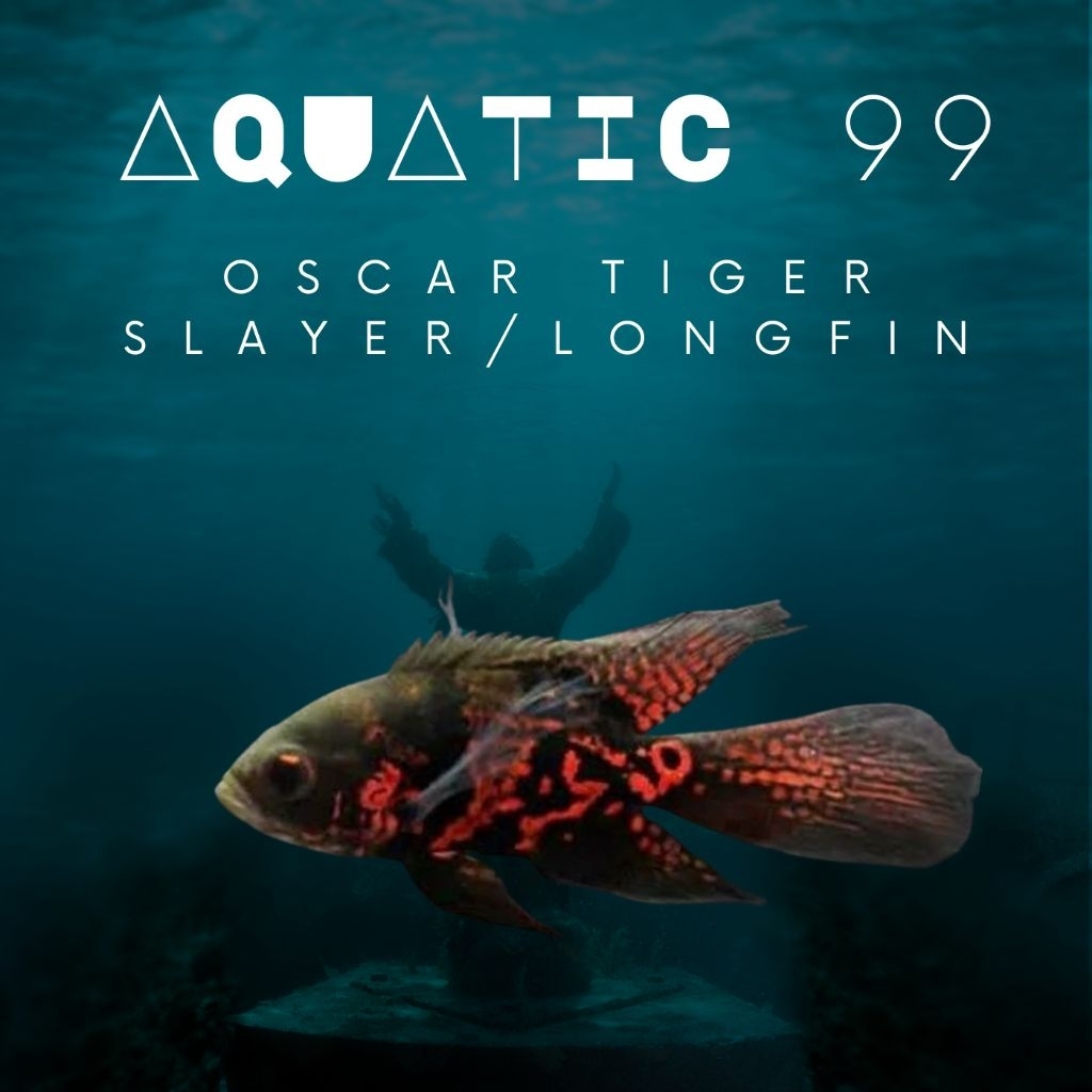 Oscar Tiger slayer / Longfin 10cm-+