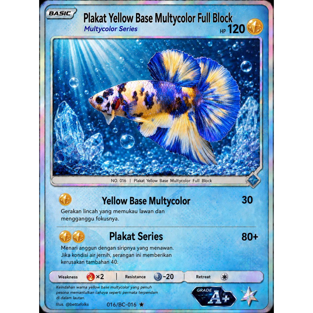 Ikan Cupang Plakat Yellow Base Multicolor Series Grade A+ | Betta Fish Warna Cerah | Kartu Koleksi E