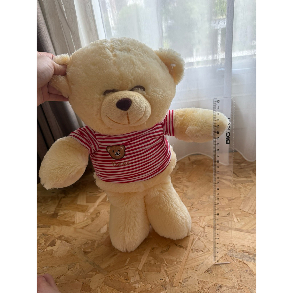 boneka beruang ukuran sedang