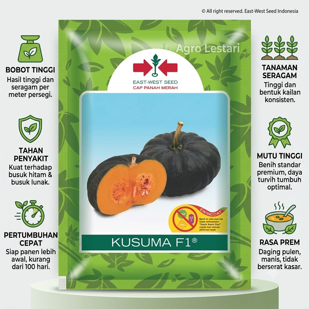 Benih Labu Madu KUSUMA F1 Cap Panah Merah Kemasan Asli - Biji Butternut Squash Hibrida Manis Legit A