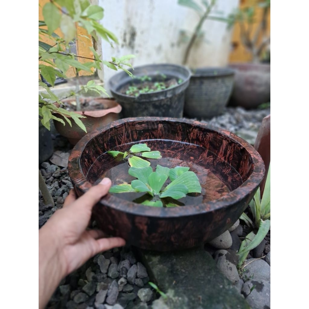 Pot teratai_pot ikan hias_kolam air_motif kayu