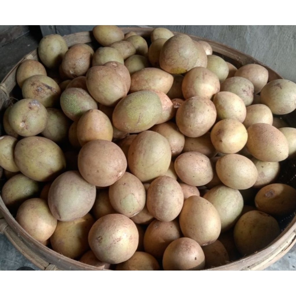 BUAH SAWO/KG