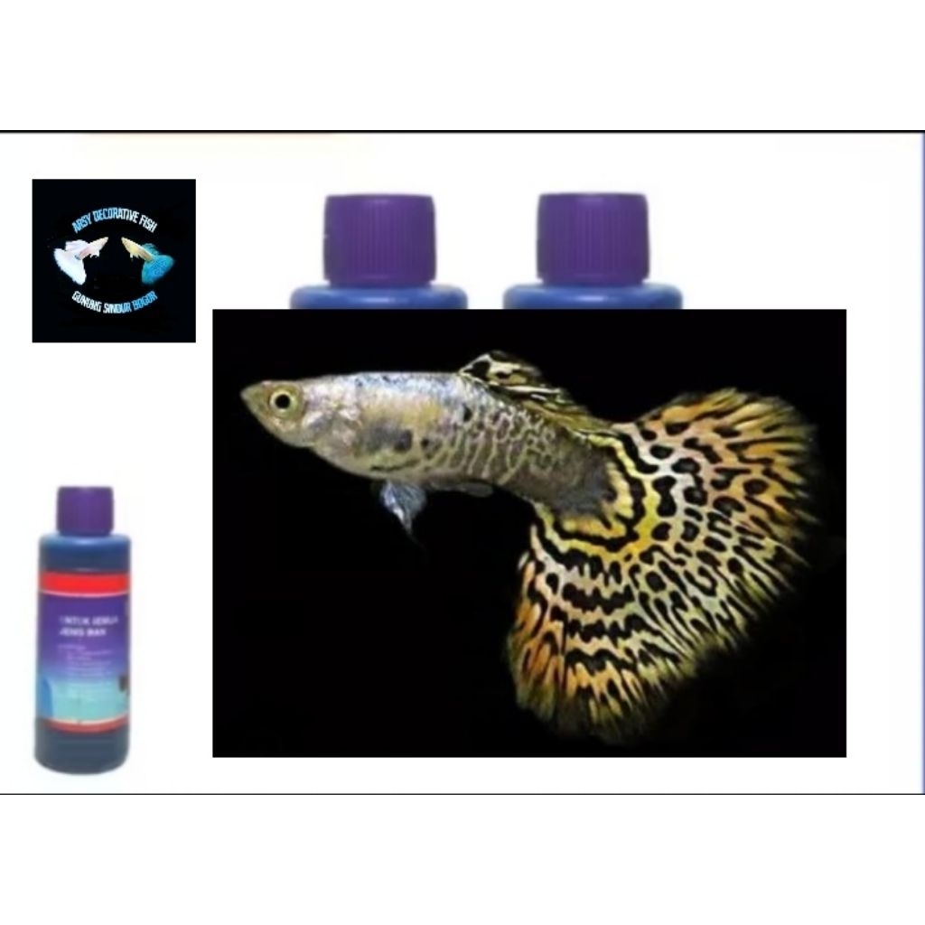obat ikan, Guppy platinum yellow tiger