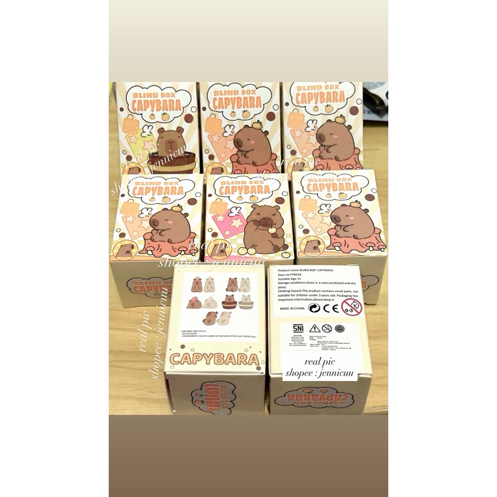 Blind Box Capybara Mini Figurine Lucu / BLIND BOX MR.DIY CAPY BARA LUCU MINI BLINDBOX LUCU KECIL BLI