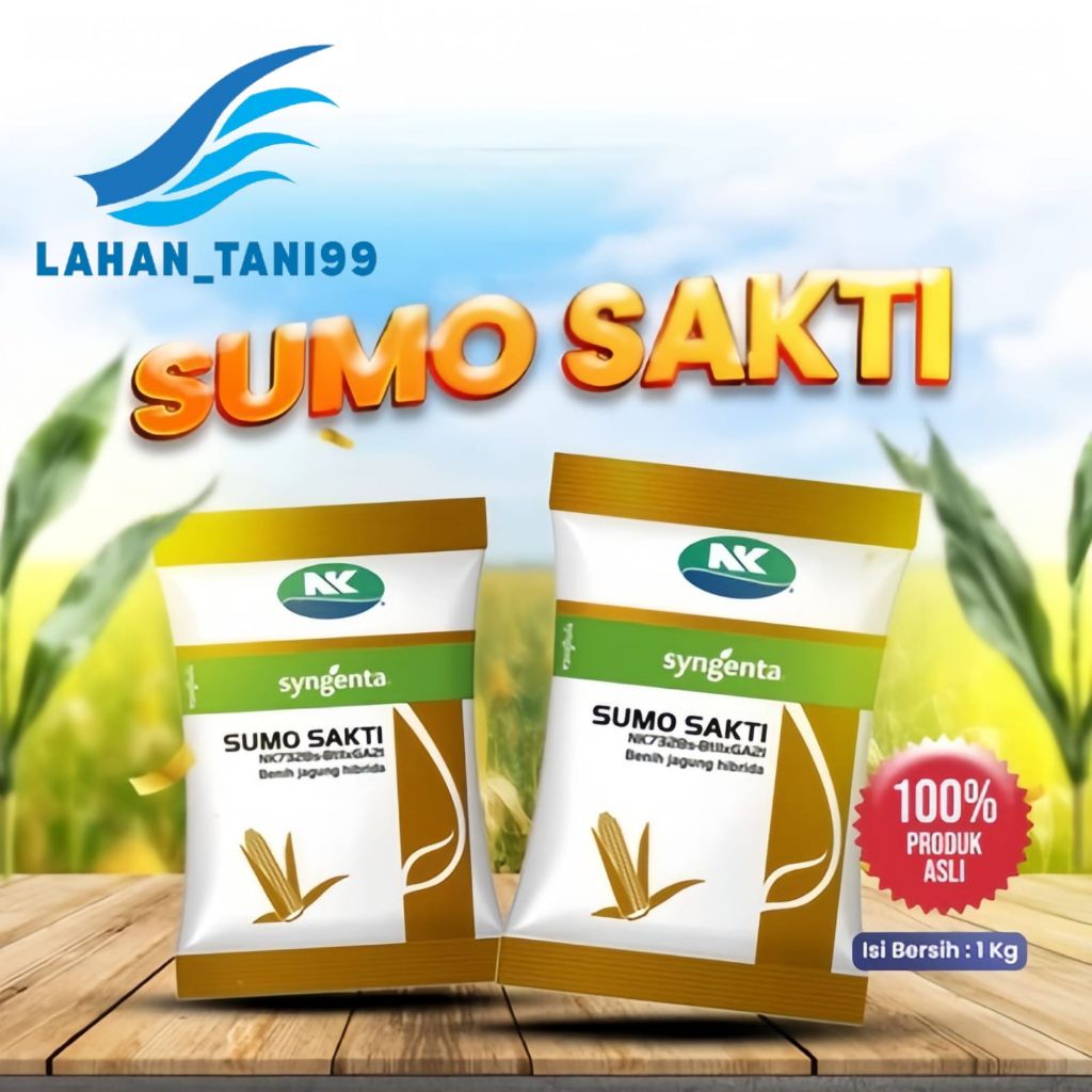 BENIH JAGUNG SUMO SAKTI BIBIT JAGUNG SUMO SAKTI TERBARU ASLI  100% ORIGINAL