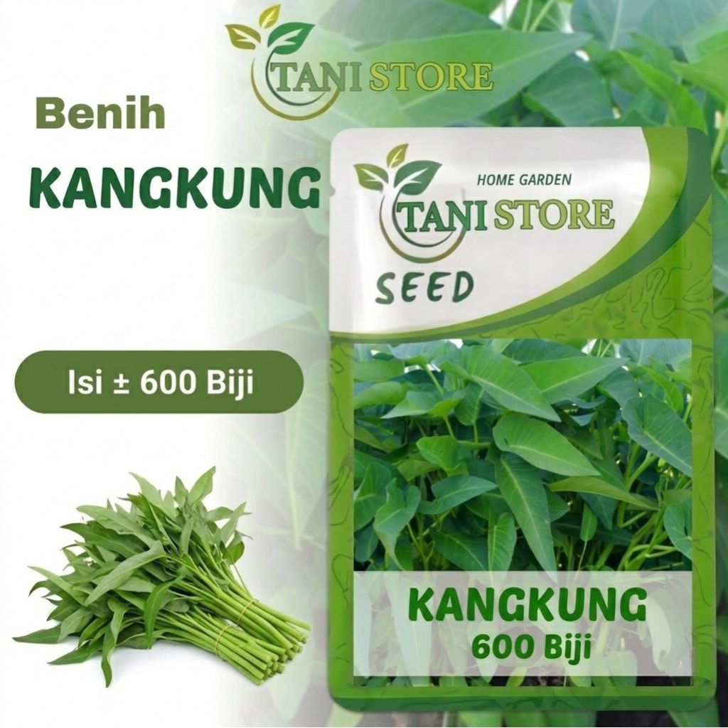 Benih Bibit kangkung Hibrida Kangkung Cabut ±600 Biji_kangkung daun lebar_kangkung cabut