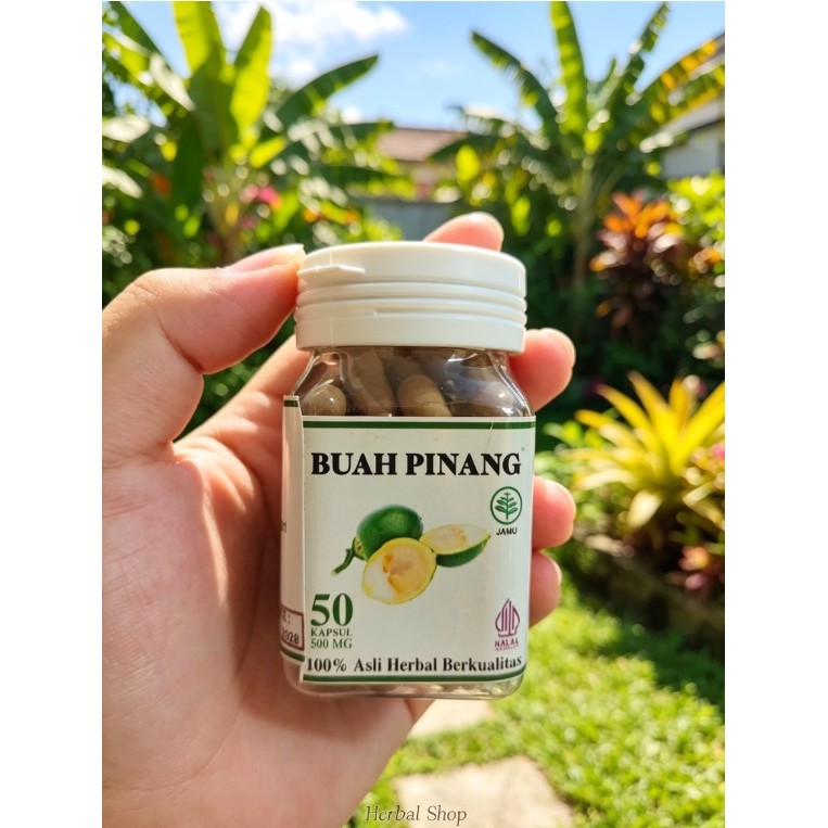 Kapsul Buah Pinang Muda Alami Original