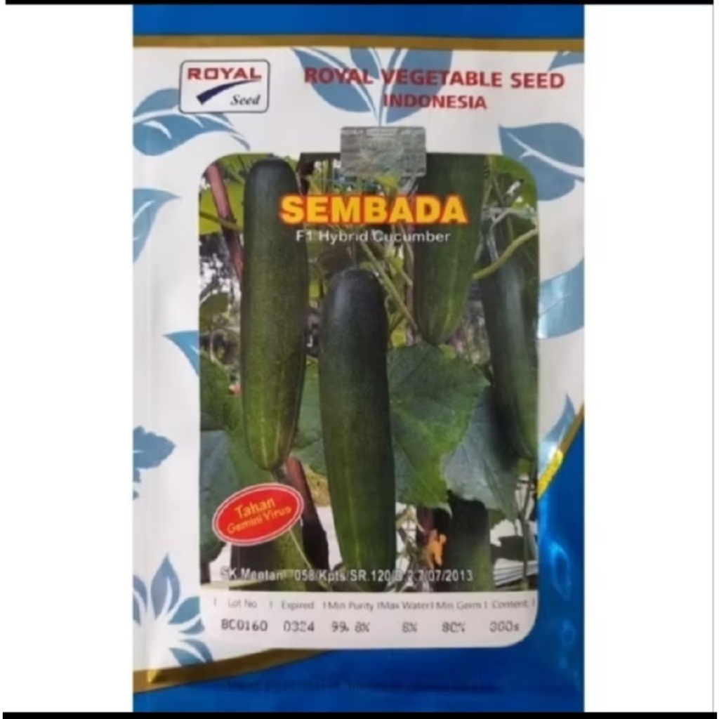 benih timun SEMBADA F1 diproduksi oleh PT Royal Agro Persada kemasan 20gram