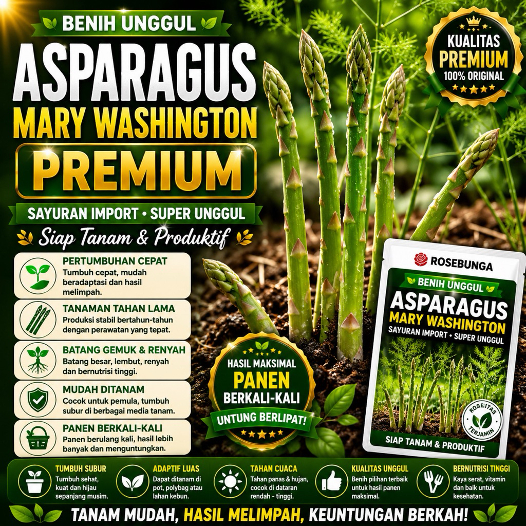 ISI PAKET: 2 Bibit Asparagus Sayur F1 Mary Washington Benih Sayuran Import Super Siap Tanam