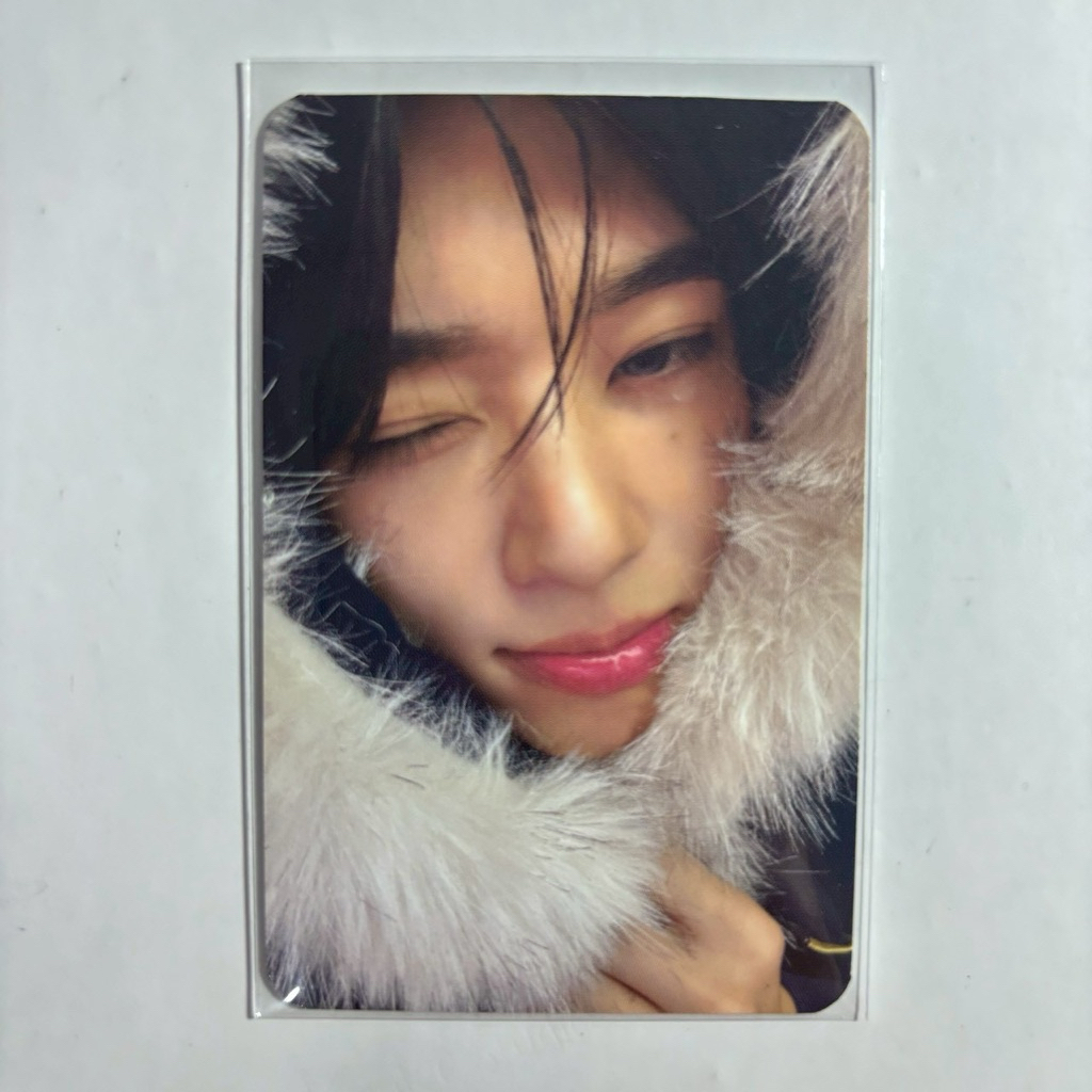 PHOTOCARD SION BULU DAMAGE PC SION NCT WISH OFFICIAL