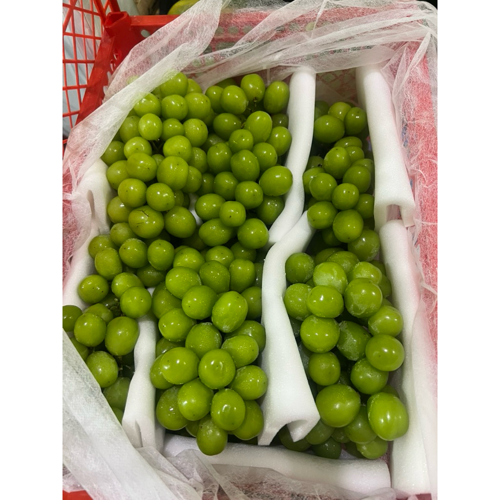Harga Anggur Muscat 1 KG Terbaru Jul 2026 | BigGo Indonesia
