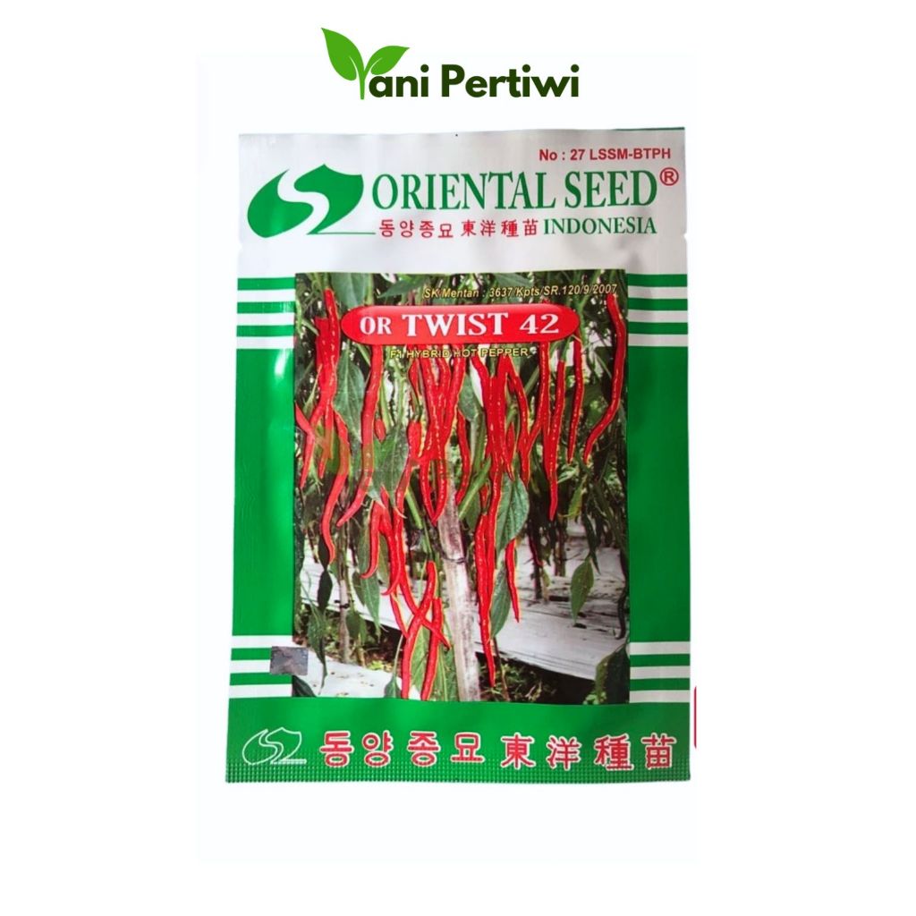 BENIH OR TWIST 42 ORIENTAL SEED ORIGINAL