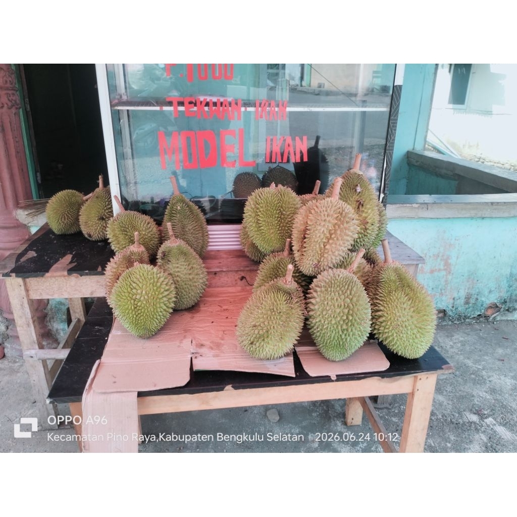 durian lokal utuh