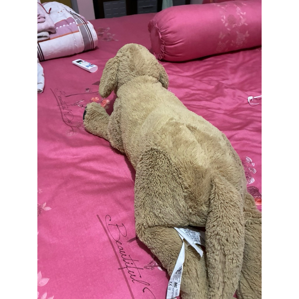 Preloved boneka golden IKEA