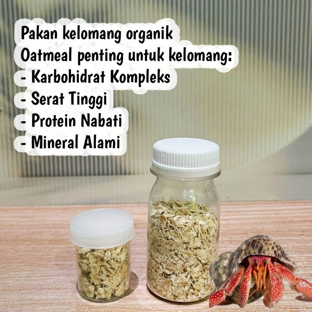 Makanan kelomang organik / pakan kelomang / makanan keong