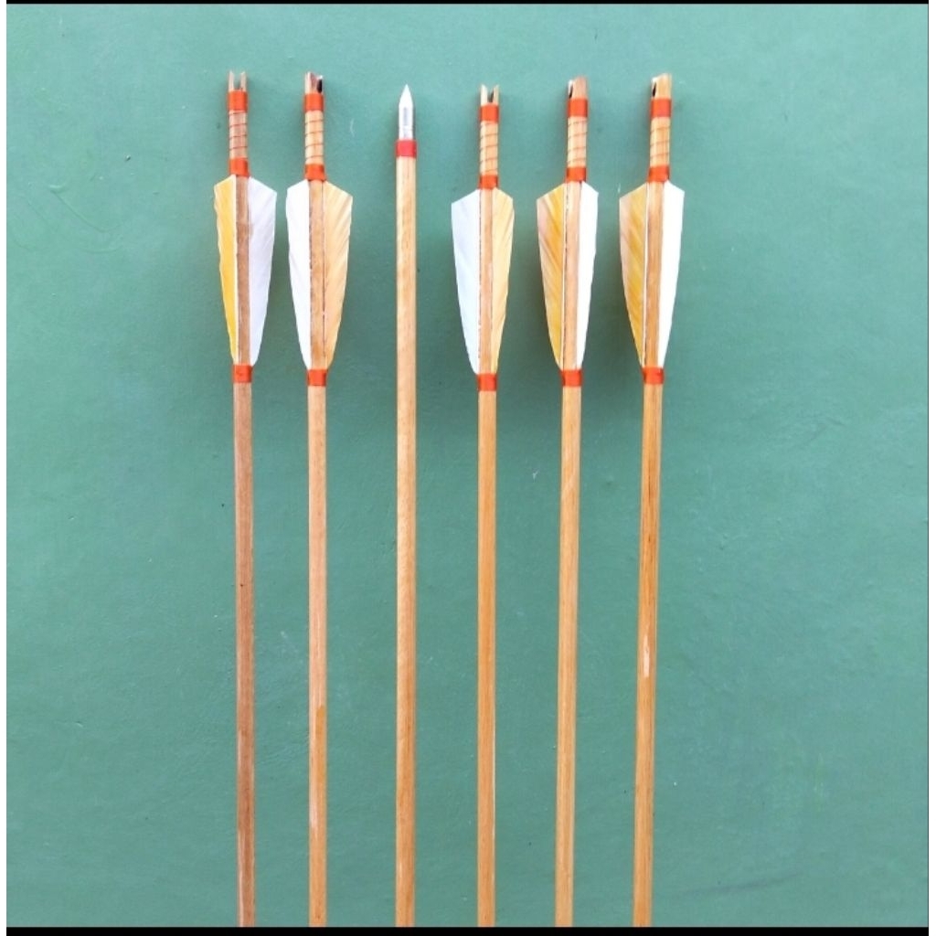 Arrow kayu ramin grade A 1lusin busur panah bulu entok